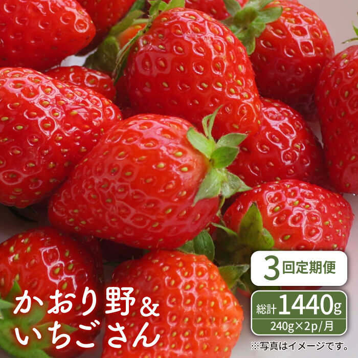 yR8N1ȍ~zyS3ցzԂHהׁI쁕 ցyStrawberryFarm-Kz [IBJ007]ꌧΒ30000ʕEt[c
