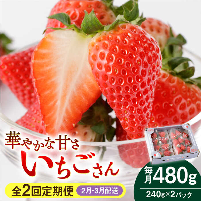 yR8N2ȍ~zy2ցz 240g×2pbN 2E3zyStrawberryFarm-Kz [IBJ008]ꌧΒ17000ʕEt[c