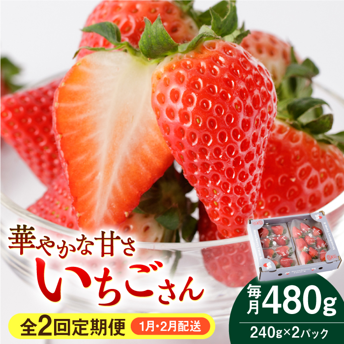 yR8N1ȍ~zy2ցz 240g×2pbN 1E2zyStrawberryFarm-Kz [IBJ013]ꌧΒ17000ʕEt[c