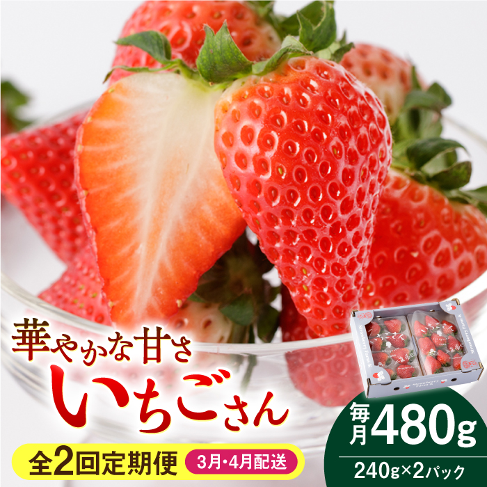 yR8N3ȍ~zy2ցz 240g×2pbN 3E4zyStrawberryFarm-Kz [IBJ014]ꌧΒ17000ʕEt[c