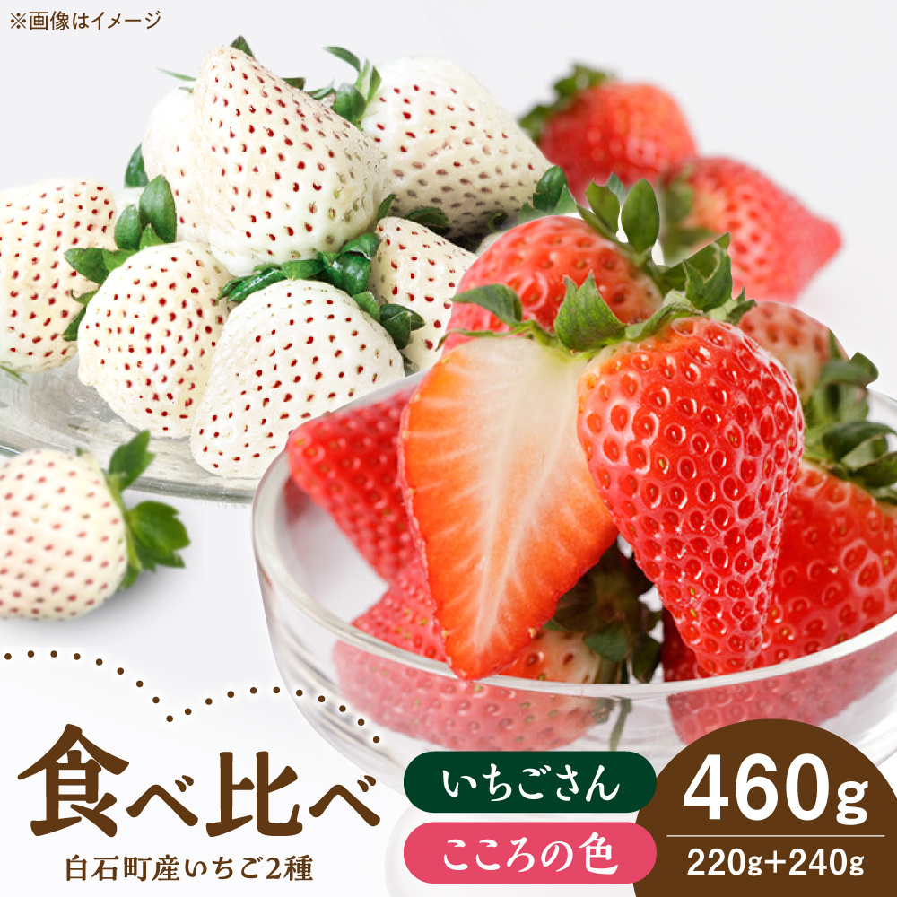 yR8N1ȍ~z̐F{ 1 yStrawberryFarm-Kz [IBJ022]ꌧΒ15000ʕEt[c