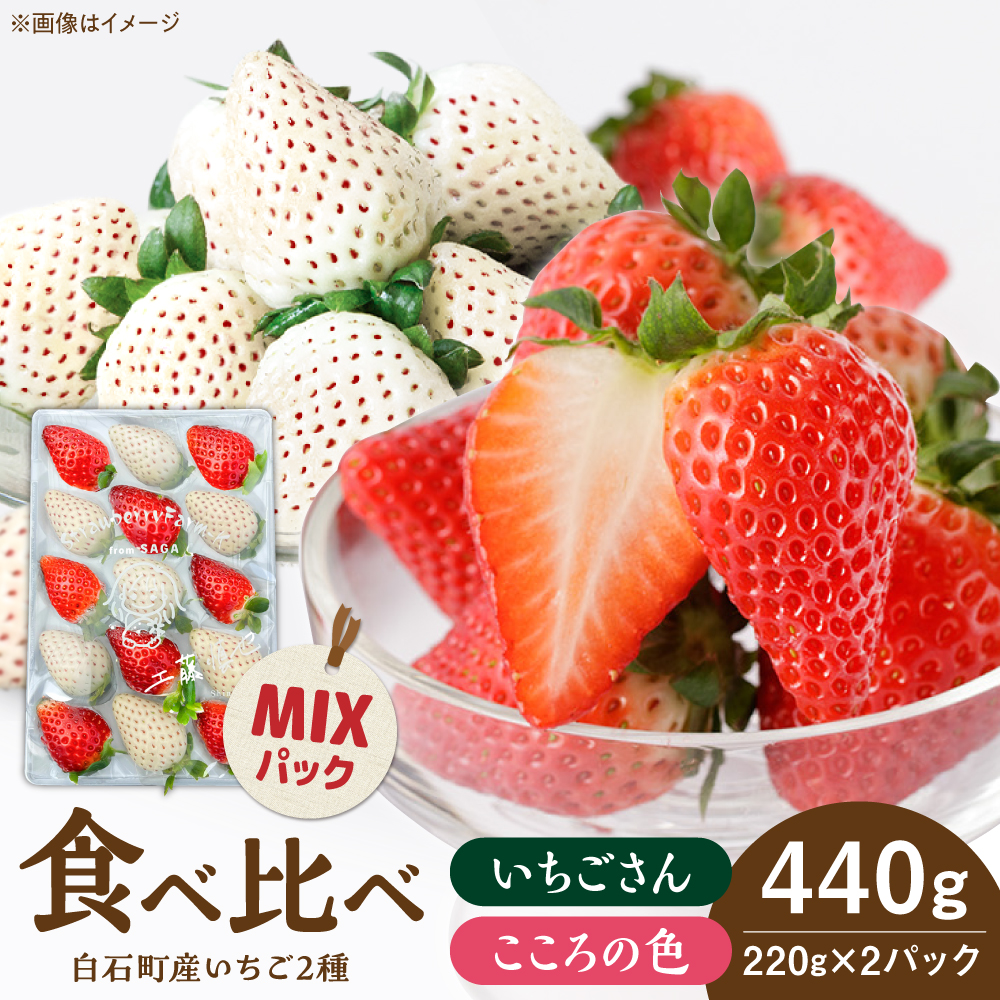 yR8N1ȍ~z̐F×~bNX gZbg v440gi220g×2pbNj yStrawberryfarm-Kz g   ʕ t[c  Zbg [IBJ026]ꌧΒ