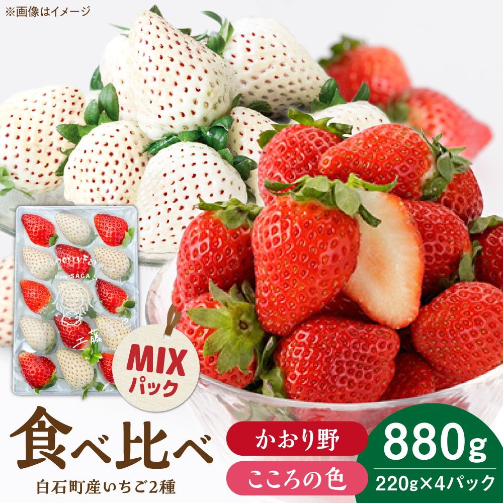 yR8N1ȍ~z̐F×~bNX gZbg v880gi220g×4pbNj yStrawberryfarm-Kz  g   ʕ t[c  Zbg [IBJ029]ꌧΒ27000