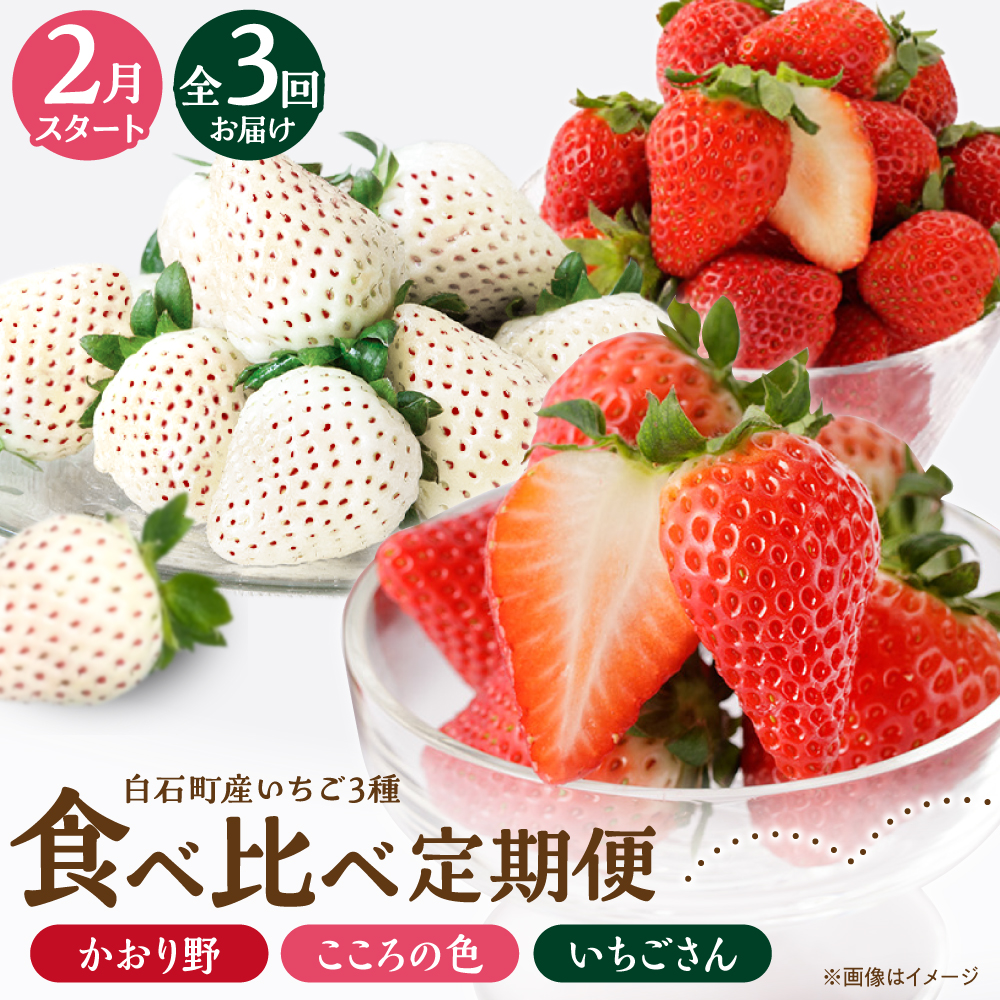 yR8N2ȍ~zyS3ցz3̐Hהגցi2j  yStrawberryFarm-Kz [IBJ031]ꌧΒ37000ʕEt[c