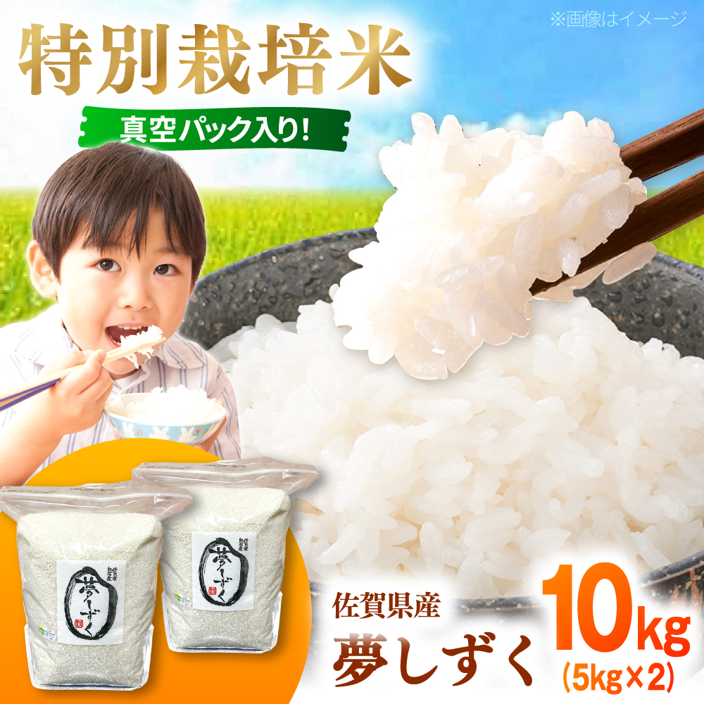 yR7NxYziāj 10kg yl_Yz [IBL020]ꌧΒ23000āEp