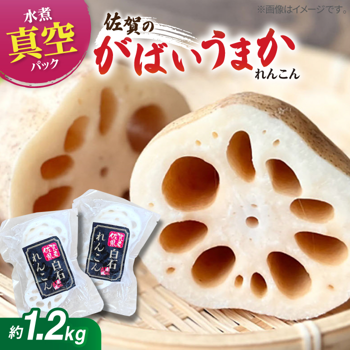 yyIzΒY ς񂱂 120g×10܁iJbgL/^pbNjyLДΊJz [IBN004]ꌧΒ10000؁Ê卪EjWEؗ