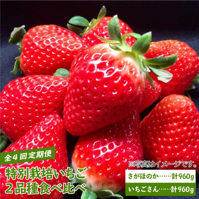 ys\zy_ƒzyS4zʍ͔| 2iHהׁiق̂jy_z [IBP002]ꌧΒ36000ʕEt[c