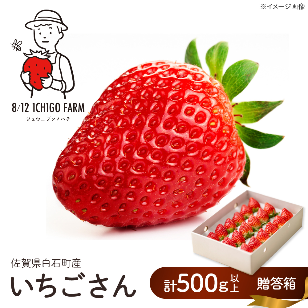 yR8N2ȍ~zMtgɂ߁Iϔ  500gȏ y8/12ICHIGOFARMz[IBR003]ꌧΒ18000ʕEt[c