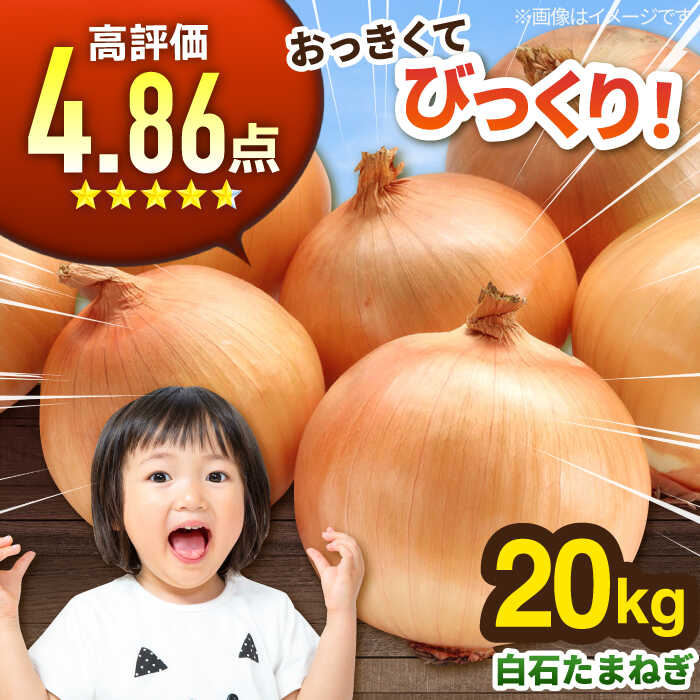 たまゆたか　セッコウ10kg  (今季最後) 白鳳卵：業務用加熱たまご10kg | さかもと養鶏