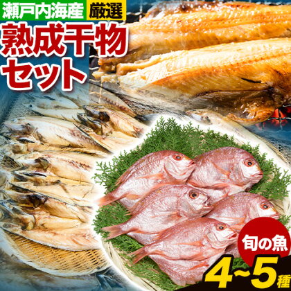 干物 ひもの 海鮮 熟成干物セット 4 ~ 5 種 セット 笠岡魚市場《45日以内に出荷予定(土日祝除く)》 岡山県 笠岡市 旬 魚 お魚---A-04---岡山県笠岡市15000魚介・海産物その他 魚介・海産物