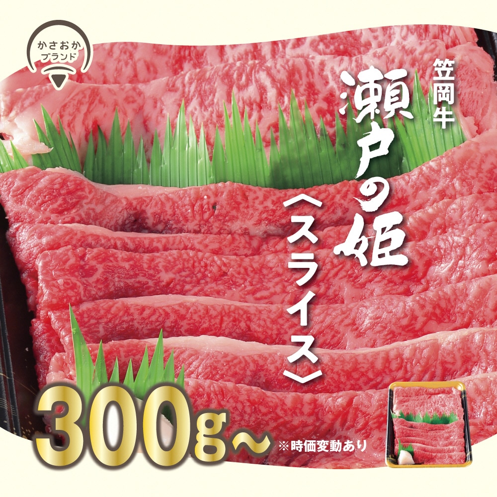 瀬戸の姫(スライス)  《45日以内に出荷予定(土日祝除く)》---A-10---岡山県笠岡市14000肉牛肉