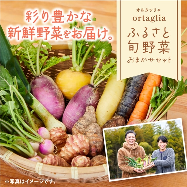 季節の旬野菜 10品 おまかせセット(農薬・化学肥料不使用) 《45日以内に出荷予定(土日祝除く)》【配送不可地域あり】---A-229---岡山県笠岡市14000野菜・きのこ