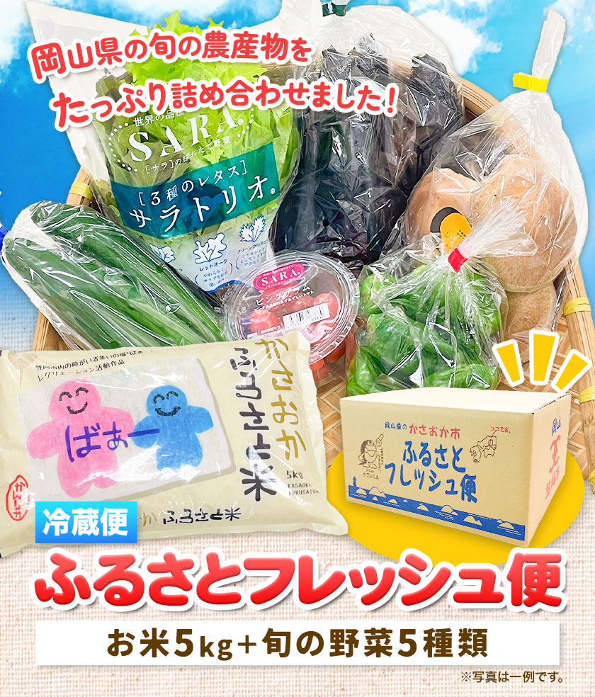 y1񂨓͂zӂ邳ƃtbV  5kg  5 JA̍R }AOZ^[ 5kg {̖5 }ӂ邳ƕ   R }ss\̗蔭t---A-54-1---R