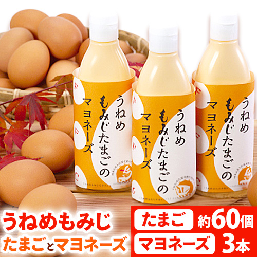 うねめもみじたまごとマヨネーズセット たまご約60個 マヨネーズ3本(250g/本) 采女ファーム 《45日以内に出荷予定(土日祝除く)》岡山県 笠岡市 たまご 卵 鶏卵 マヨネーズ セット TKG ---B-10---岡