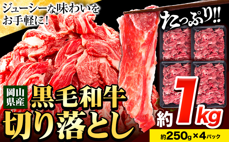  јa ؂藎Ƃ 󂠂 e  1kg 1pbN 250g s30ȓɏoח\(yj)tRY R }s  ɂ J[  ؂藎 ؗ---kasaoka_zsy_112_1kg---