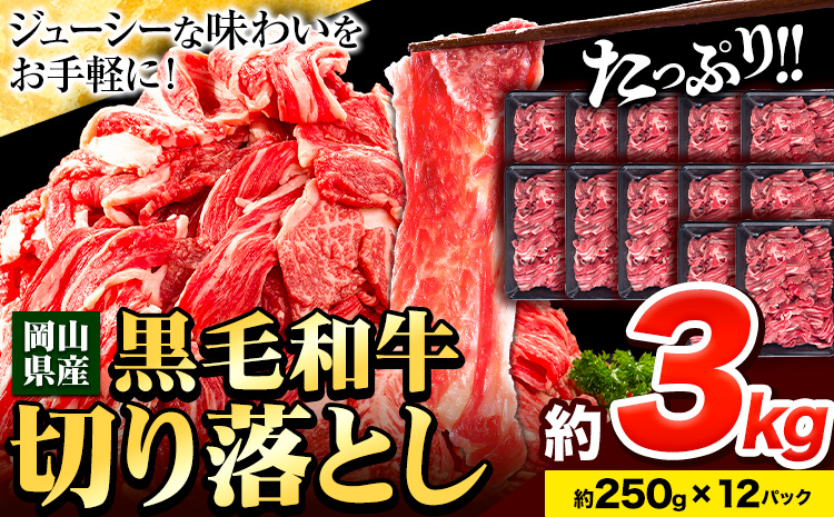 牛肉 肉 黒毛和牛 切り落とし 訳あり 大容量 小分け 3kg 1パック 250g 《30日以内に出荷予定(土日祝除く)》岡山県産 岡山県 笠岡市 お肉 にく カレー 牛丼 切り落し 切落し---kasaoka_zsy_116_3kg---岡