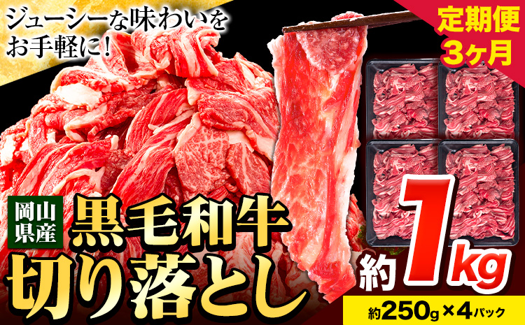 牛肉 肉 黒毛和牛 切り落とし 訳あり 大容量 小分け【定期便】 1kg 1パック 250g 3回 《お申込月の翌月より発送》岡山県産 岡山県 笠岡市 お肉 にく カレー 牛丼 切り落し 切落し---kasaoka_zsytei_11