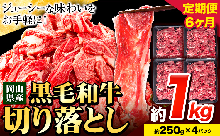 牛肉 肉 黒毛和牛 切り落とし 訳あり 大容量 小分け【定期便】 1kg 1パック 250g 6回 《お申込月の翌月より発送》岡山県産 岡山県 笠岡市 お肉 にく カレー 牛丼 切り落し 切落し---kasaoka_zsytei_12