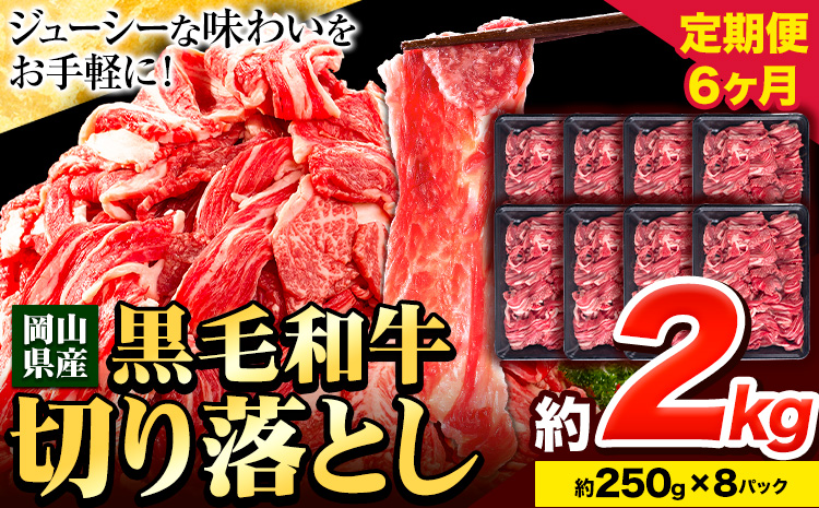 牛肉 肉 黒毛和牛 切り落とし 訳あり 大容量 小分け【定期便】 2kg 1パック 250g 6回 《お申込月の翌月より発送》岡山県産 岡山県 笠岡市 お肉 にく カレー 牛丼 切り落し 切落し---kasaoka_zsytei_12