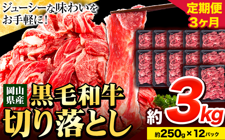   јa ؂藎Ƃ 󂠂 e yցz 3kg 1pbN 250g 3 s\̗蔭tRY R }s  ɂ J[  ؂藎 ؗ---kasaoka_zsytei_12