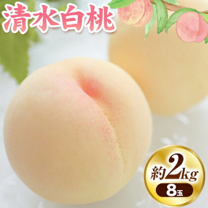 【2026年発送先行予約】清水白桃 8玉 先行予約 清水白桃 約2kg(8玉) 《2026年7月下旬-8月上旬頃出荷》 桃 清水白桃 白桃 晴れの国おかやま館 フルーツ 果物 果実 岡山県 笠岡市---B-80d---岡山県