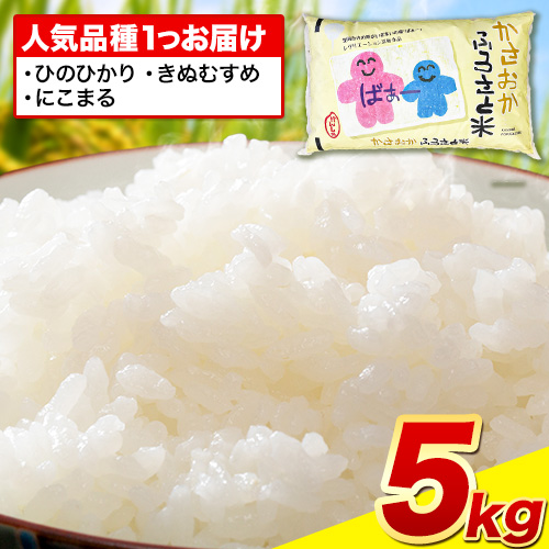 【令和8年1月発送】令和7年産 ふるさと米 5kg 5kg×1袋 米 備中笠岡 人気品種をお届け! 国産 ヒノヒカリ にこまる きぬむすめ お米 ブランド米 おにぎり 弁当 単一原料米 お取り寄せ  岡山県産