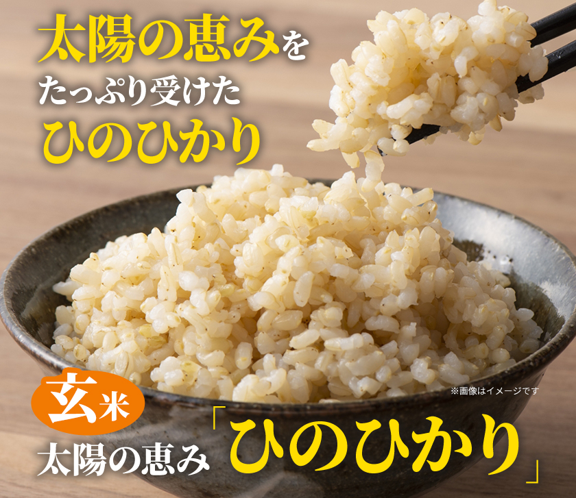 【令和6年産 予約受付】玄米 岡山県産 ひのひかり 笠岡産 10kg《10月下旬-9月下旬頃出荷》農事組合法人奥山営農組合 太陽の恵み---O-06_10k_玄米---岡山県笠岡市16500米・パン玄米・雑穀米・もち