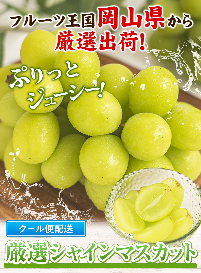 【2026年発送先行予約】 シャインマスカット 岡山 約650g 1房 厳選 旬 ぶどう ブドウ 葡萄 マスカット 果物 フルーツ ギフト 岡山県 笠岡市 訳あり クール便 爽やか 贅沢《2026年9月上旬‐11月中