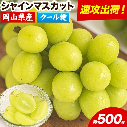 yUoׁI 3`7cƓzVC}XJbg R 500g I { Ԃǂ uhE  }XJbg ʕ t[c Mtg R }s N[ u₩s3~7cƓȓɔt---kasaoka_