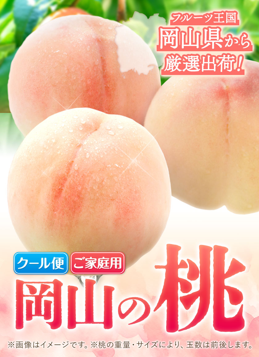【先行予約】桃 岡山の桃 約750g 《2026年6月下旬-9月上旬頃出荷》 ご家庭用 訳あり 白桃 岡山 はくとう スイーツ フルーツ 果物 デザート 旬 モモ もも 先行予約  果物 岡山県 笠岡市 清水白桃
