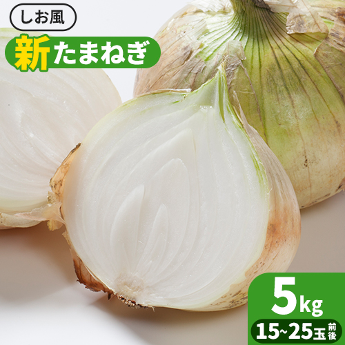 新玉ねぎ【先行予約】 しお風新たまねぎ 約5kg 《5月中旬-6月上旬頃出荷》 玉ねぎ 新たまねぎ 玉葱 たまねぎ 新玉 野菜 青果物 岡山県 笠岡市---kasaoka_zsy_139_5---岡山県笠岡市4500野菜・きのこ