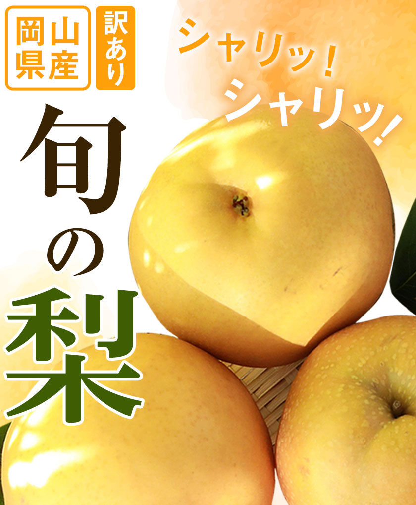 ys\z󂠂 {̗ 1.8kg 2~6ʑO RY  󂠂 V  H  R }ss9{-1ɏoח\tʌ  Ȃ iV---kasaoka_zsy_49_18---R}s10000