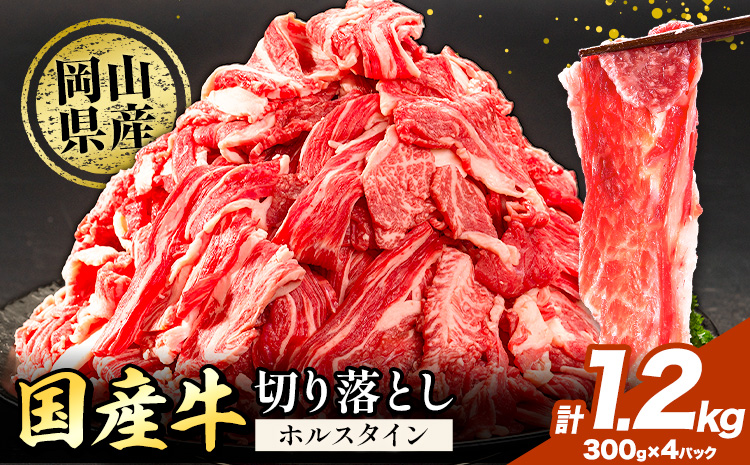 牛肉 肉 国産牛 切り落とし ホルスタイン 大容量 小分け 1.2kg 《30日以内に出荷予定(土日祝除く)》岡山県産 岡山県 笠岡市 お肉 にく カレー 牛丼 牛肉 切り落し 小分け 切落し 牛肉 小分け 牛