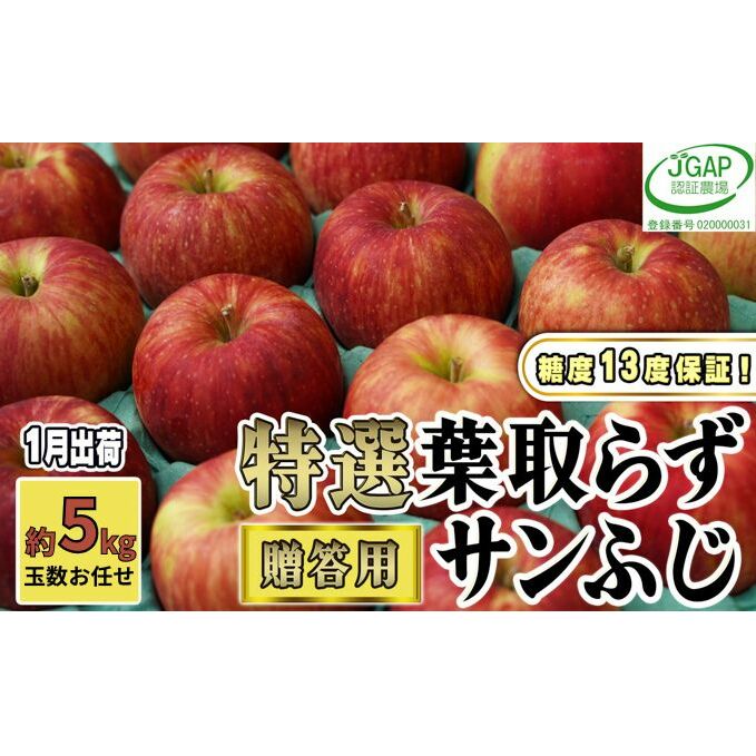1月発送【 糖度保証 】贈答用 葉取らず サンふじ 約 5kg 【 特選 】鶴翔りんごGAP部会 青森県産 津軽産 リンゴ 林檎 果物 JGAP認証 安心 丸かじり 甘い 高糖度 ギフト 青森県鶴田町16000果物・フ