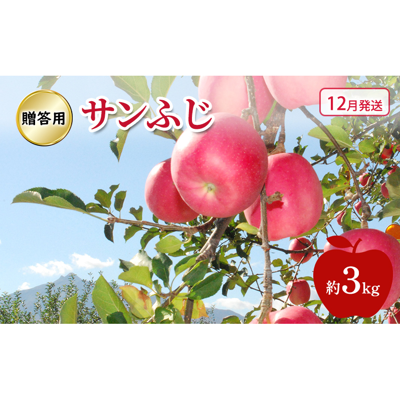りんご 【 12月発送 】 贈答用 サンふじ 約 3kg青森県鶴田町15000果物・フルーツりんご・梨