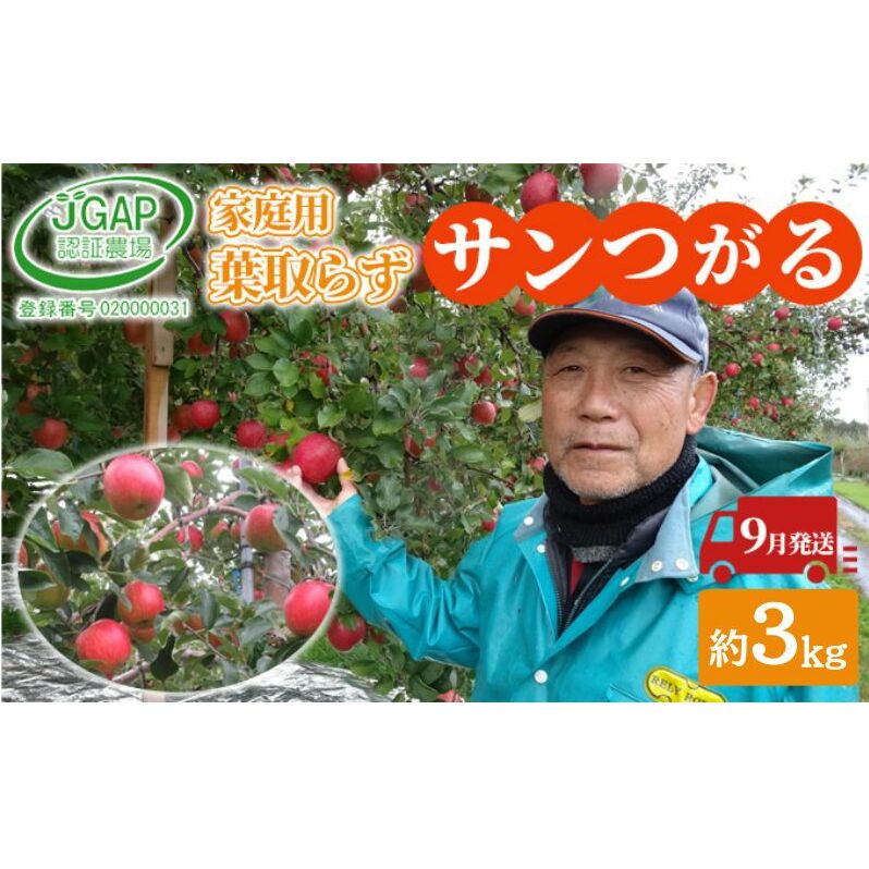 9月発送 家庭用 葉取らず サンつがる 約 3kg【 訳あり 】鶴翔りんごGAP部会 青森県産 津軽産 リンゴ 林檎 つがる 果物類 フルーツ青森県鶴田町9000果物・フルーツりんご・梨