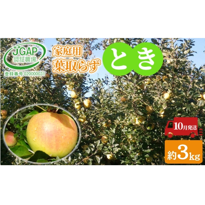 10月発送 家庭用 葉取らず とき 約 3kg【 訳あり 】鶴翔りんごGAP部会 青森県産 津軽産 リンゴ 林檎 トキ 果物類 フルーツ りんご青森県鶴田町9000果物・フルーツりんご・梨
