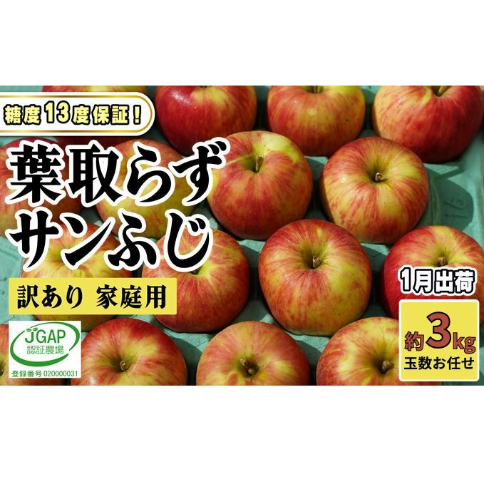 1月発送【 糖度保証 】家庭用 葉取らず サンふじ 約 3kg【 訳あり 】鶴翔りんごGAP部会 青森県産 津軽産 リンゴ 林檎 果物 フルーツ デザート 甘味青森県鶴田町10000果物・フルーツりんご・梨