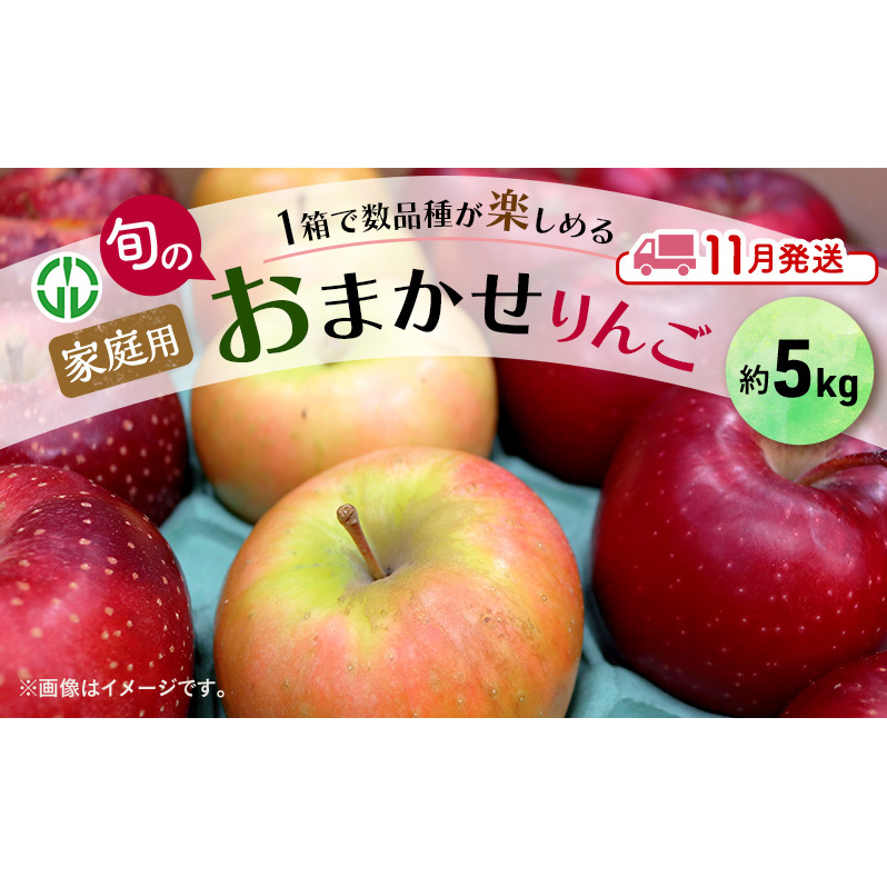 りんご 【 11月発送 】 家庭用 旬のりんご 品種おまかせ 約 5kg 2品種〜4品種 果物類 フルーツ 林檎 リンゴ 鶴田町 青森県 おやつ デザート青森県鶴田町14000果物・フルーツりんご・梨