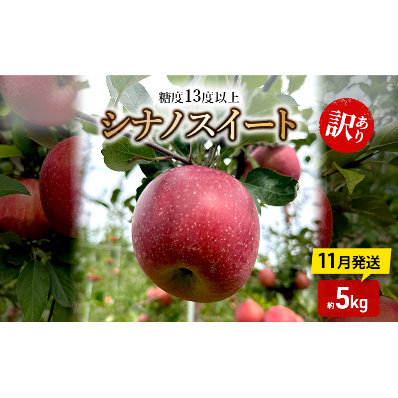 りんご【11月発送】糖度13度以上 訳あり 家庭用 シナノスイート 約5kg【青森りんご】青森県鶴田町15000果物・フルーツりんご・梨