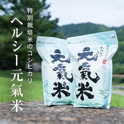 高津川の恵み 特別栽培米ヘルシー元氣米2kg×2袋(4kg)(令和7年産)【1209634】島根県津和野町18000米・パン白米