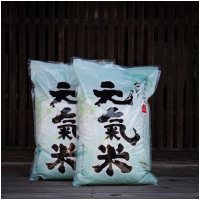 高津川の恵み 特別栽培米ヘルシー元氣米5kg×2袋(10kg)(令和7年産)【1209635】島根県津和野町38000米・パン白米