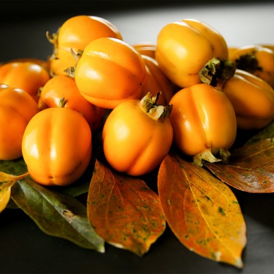 yL@JASF؁zI[KjbN킹`3kgy1230750zØa쒬18000ʕEt[c̑ ʕEt[c