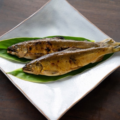 〈清流・高津川産〉香味豊かな天然鮎の炭火塩焼き1匹入りレトルト×2袋【1287879】島根県津和野町11000魚介・海産物鮮魚