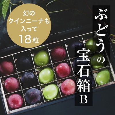 『ぶどうの宝石箱B』(3品種)【2026年9月より順次発送/ふるさと納税限定/数量限定】【配送不可地域:離島】【1458789】島根県津和野町10000果物・フルーツマスカット・ぶどう