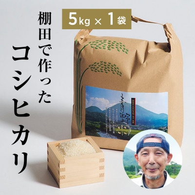 青野山の湧水と朝晩の寒暖差が育んだ棚田の甘〜い米「コシヒカリ」(白米5kg×1袋)(令和7年産)【1524991】島根県津和野町20000米・パン白米