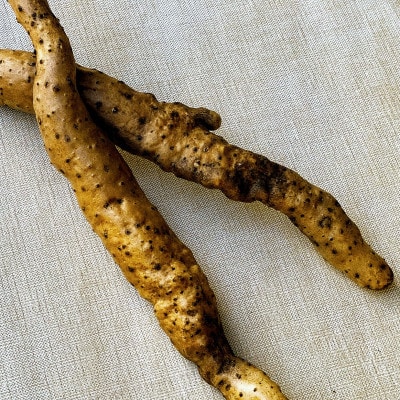 y͔|ԒA_Ew엿sgpzR(300g[1`2{])yzsnFzy1532194zØa쒬13000؁Ê卪EjWEؗ