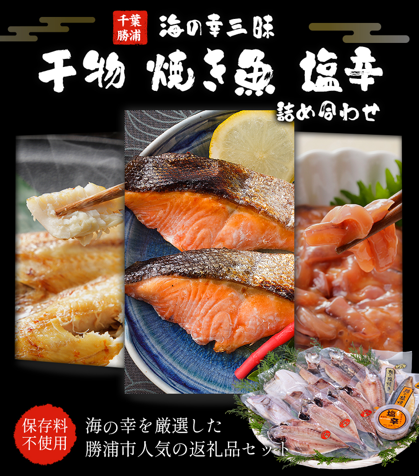干物・焼魚・塩辛セット 4~6種10枚 株式会社鈴八フーズ 《30日以内に出荷予定(土日祝除く)》【配送不可地域:離島】塩辛100gさばの塩焼き さけの塩焼き 干物 アジ カレイ 金目鯛 イカ ホッケ