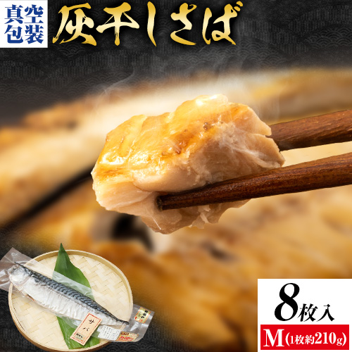 勝浦松田商店 灰干しさば ノルウェー産 選べる 内容量 Mサイズ 約210g 8枚入《30日以内に出荷予定(土日祝除く)》千葉県 勝浦市 真空包装【配送不可地域あり】---kastuura_mtd_2---千葉県勝浦市16000