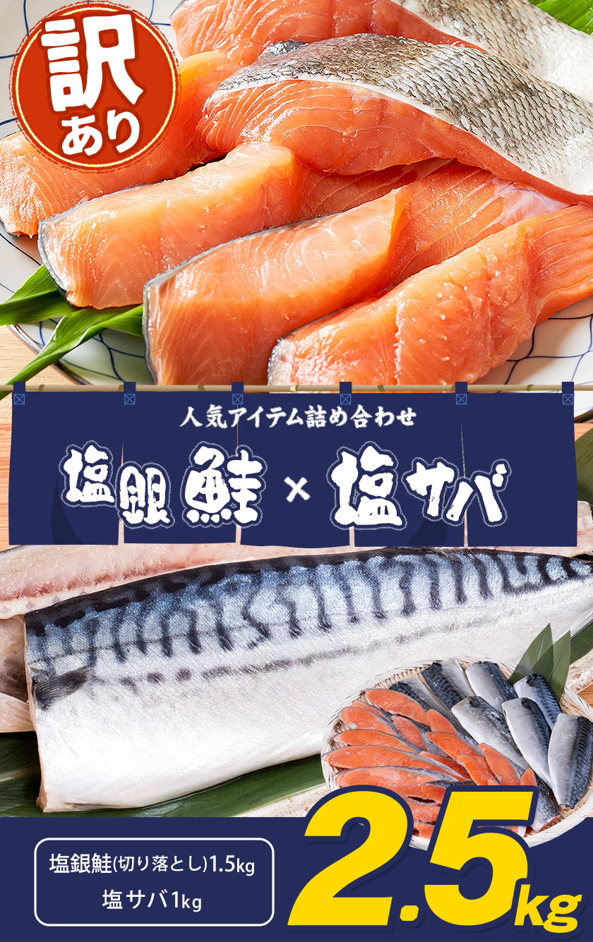 訳あり 人気アイテム 詰め合わせ 塩銀鮭 切り落とし 1.5kg + 塩サバ 1kg 合計 約 2.5kg 株式会社西川 《30日以内に出荷予定(土日祝除く)》千葉県 勝浦市 塩銀鮭 塩サバ 魚 切り落とし 冷凍 訳あり